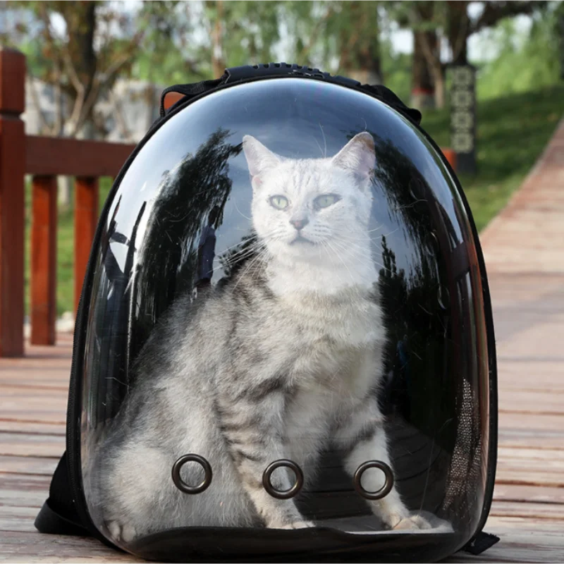 Mochila Espacial Transparente para Gatos - Conforto e Estilo