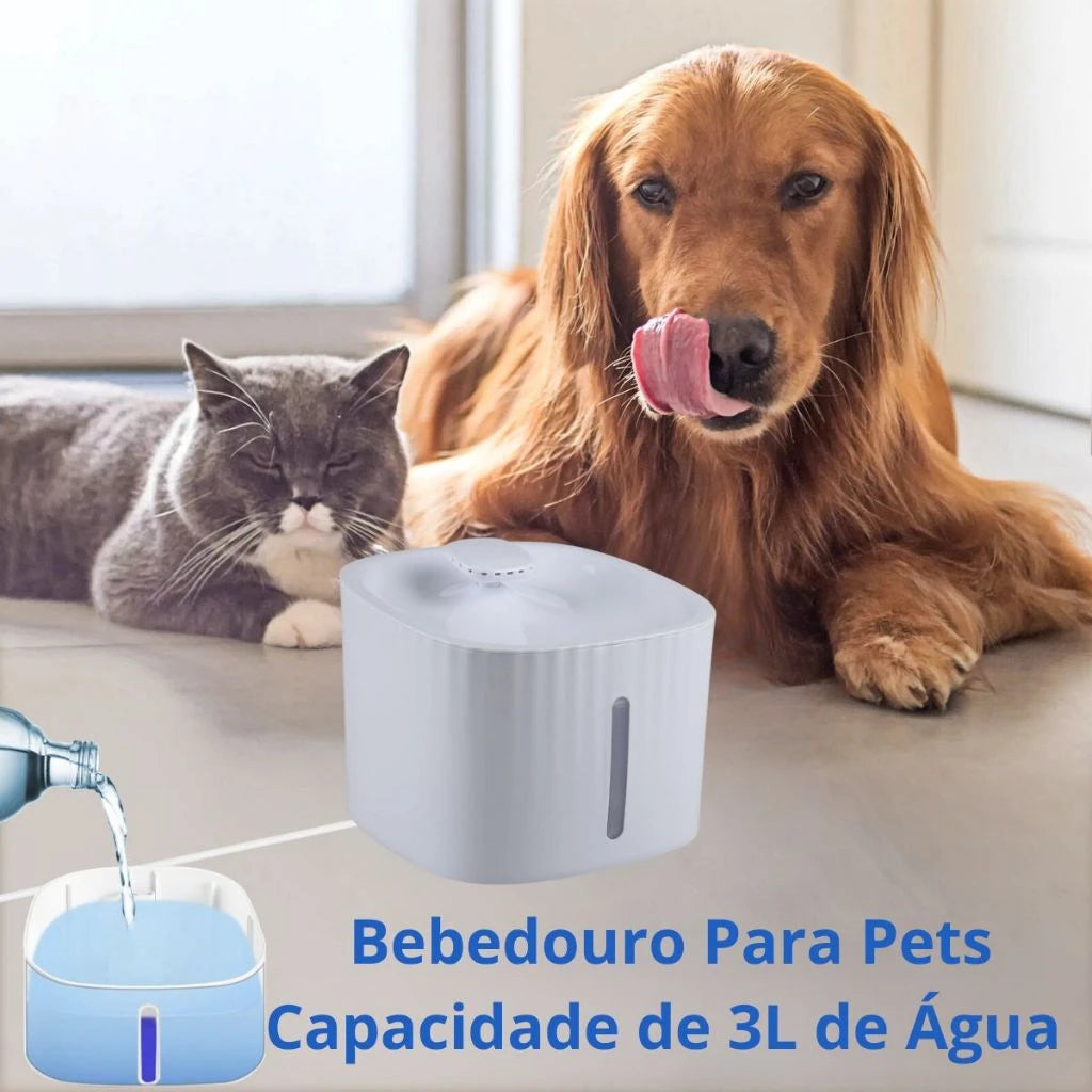 Bebedouro-Elevado House com para Pet, 3l