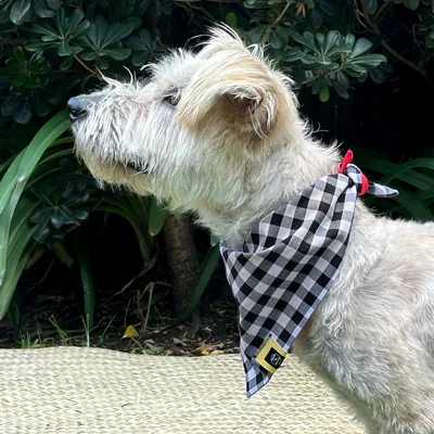 Bandana Doble cuadros