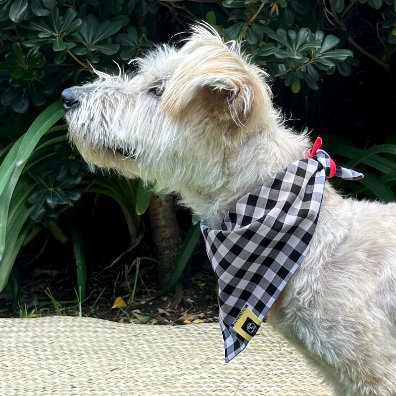 Bandana Doble cuadros — imagen 1