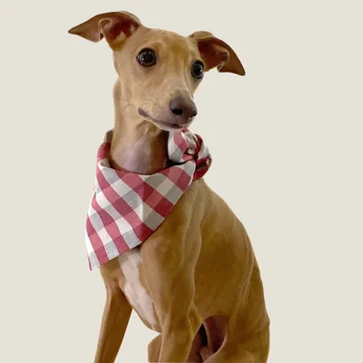 Bandana triangular doble vista
