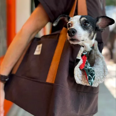 Bolsa Transportadora