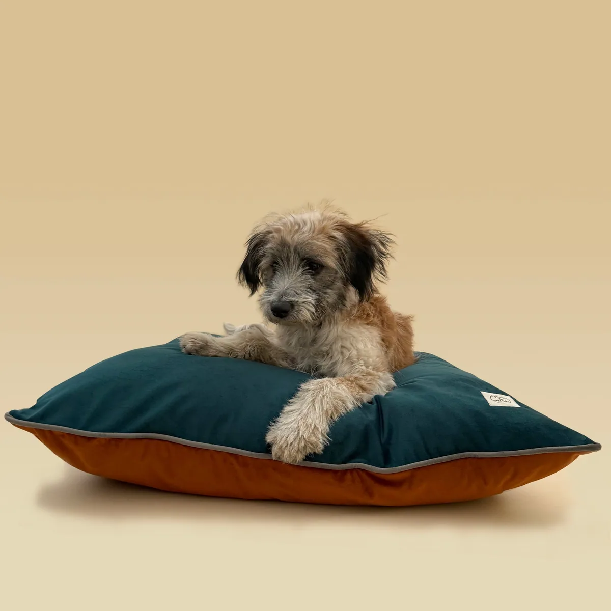 Cama Cojín de Terciopelo — imagen 1