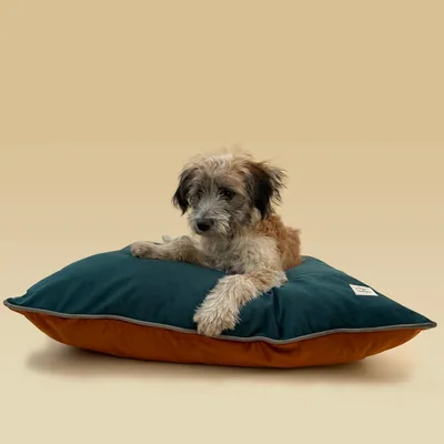 Cama Cojín de Terciopelo