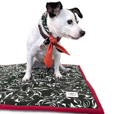 Cama Ligera