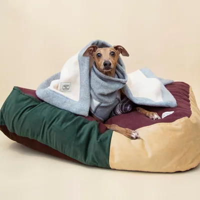 Cama Tradicional de Pana Nueva Colección