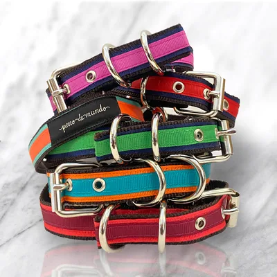Collar Dinga