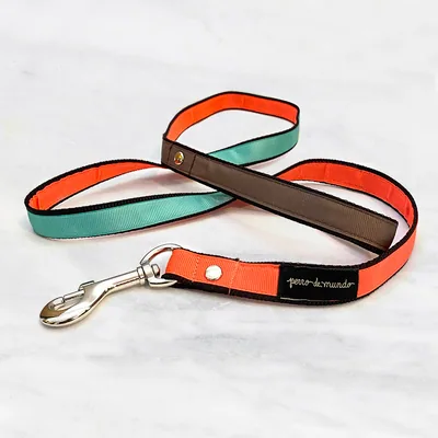 Correa Dinga Tricolor