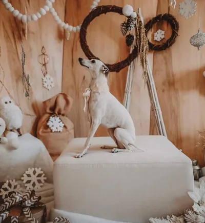 Estola de Peluche