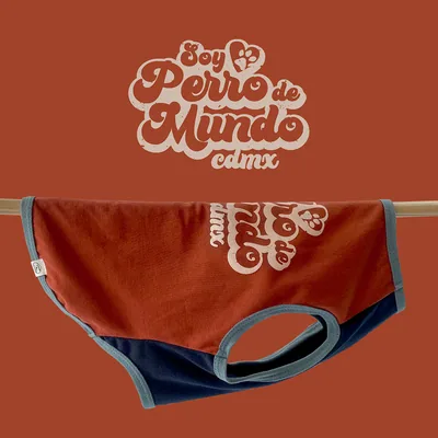 Playera Gráfica