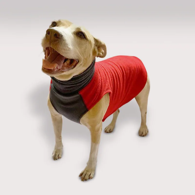 Sudadera ligera ajustable — imagen 1