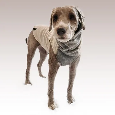 Sudadera Ligera Colección Clásica