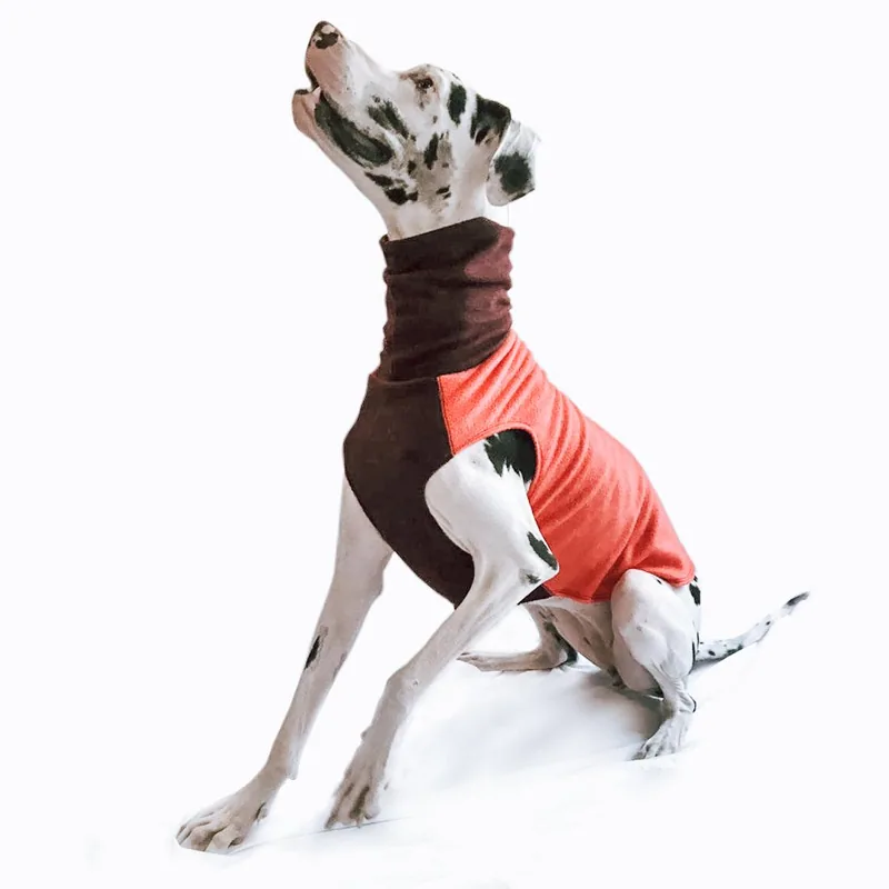Sudadera Ligera Colección RENA — imagen 1