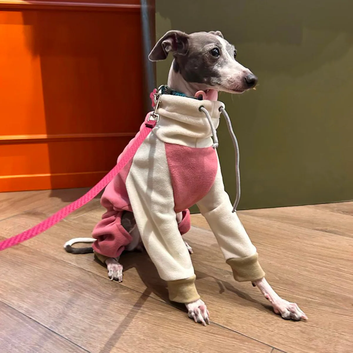 Mono Perro de Mundo — imagen 1